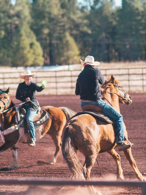 northern arizona family retreats