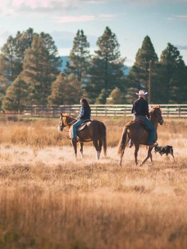 Gloryview Ranch Northern Arizona Marriage Retreats